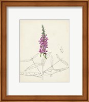 Framed 'Watercolor Botanical Sketches V' border=