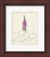 Framed 'Watercolor Botanical Sketches V' border=