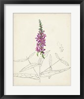 Framed Watercolor Botanical Sketches V