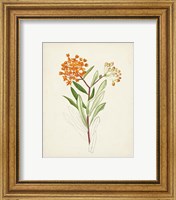 Framed 'Watercolor Botanical Sketches VI' border=