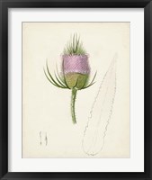 Framed 'Watercolor Botanical Sketches VIII' border=
