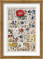 Framed Floral Chart