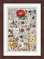 Framed Floral Chart