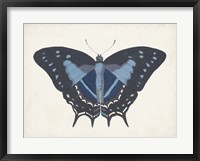 Framed Beautiful Butterfly III