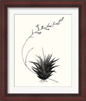 Framed 'Graphic Succulents I' border=