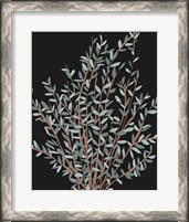 Framed Gunni Eucalyptus I