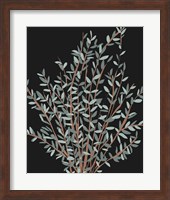 Framed Gunni Eucalyptus I