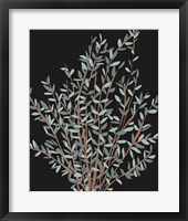 Framed 'Gunni Eucalyptus I' border=