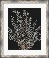 Framed Gunni Eucalyptus II