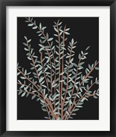 Framed 'Gunni Eucalyptus II' border=