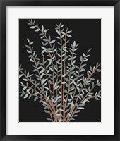 Framed 'Gunni Eucalyptus II' border=