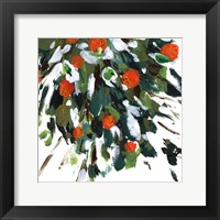 Framed Ripe Tangerines I