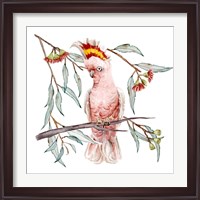 Framed Pink Cockatoo I