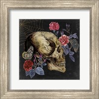 Framed Bones II