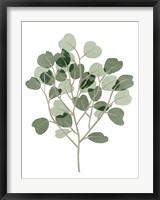 Framed Windy Eucalyptus II