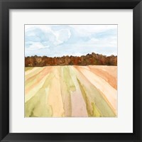 Framed Autumn Crops II