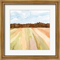 Framed Autumn Crops II