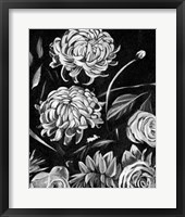 Enchanted Bloom II Framed Print
