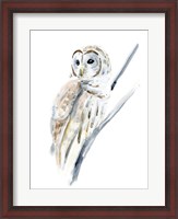 Framed Arctic Owl I