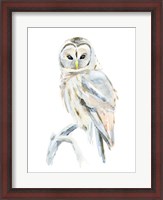 Framed Arctic Owl II