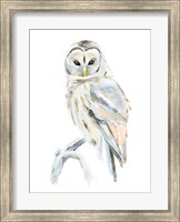 Framed Arctic Owl II