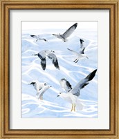 Framed Seagull Soiree I