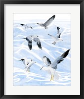 Seagull Soiree I Framed Print