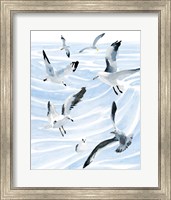 Framed Seagull Soiree II