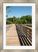Framed Alabama, Theodore Bayou Boardwalk of the Bellingrath gardens