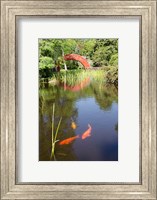 Framed Alabama, Theodore Bridge and Koi Pond at Bellingrath Gardens