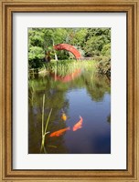 Framed Alabama, Theodore Bridge and Koi Pond at Bellingrath Gardens