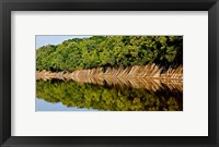 Framed Sailing on the Tombigbee Waterway in Alabama