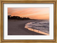 Framed Alabama, Gulf Shores, Beach, shore birds