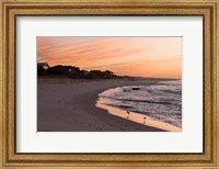 Framed Alabama, Gulf Shores, Beach, shore birds