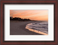 Framed Alabama, Gulf Shores, Beach, shore birds