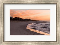 Framed Alabama, Gulf Shores, Beach, shore birds