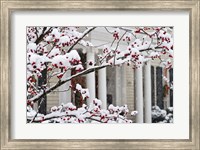 Framed Twickenham in Christmas, Huntsville, Alabama