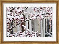 Framed Twickenham in Christmas, Huntsville, Alabama