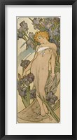 Framed Irises, 1898