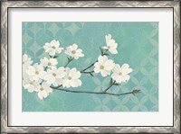 Framed Dogwood Blossoms