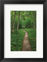 Framed North Country Trail