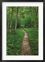 Framed North Country Trail
