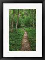 Framed North Country Trail