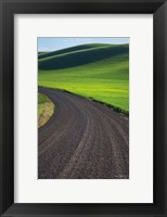 Framed Going Through Palouse Wheat Fields