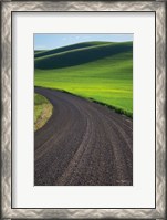 Framed Going Through Palouse Wheat Fields