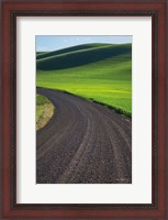 Framed Going Through Palouse Wheat Fields