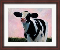 Framed Looking At You - Cow