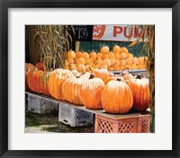 Framed Pumpkins for Sale