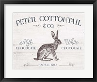 Framed Peter Cottontail