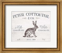 Framed Peter Cottontail